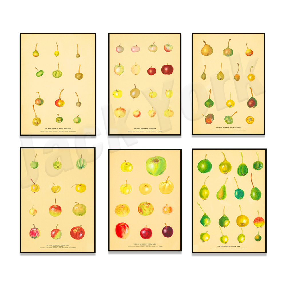 Fruit Keuken Poster Vintage Po - Plant Jackfruit recensie en prijs